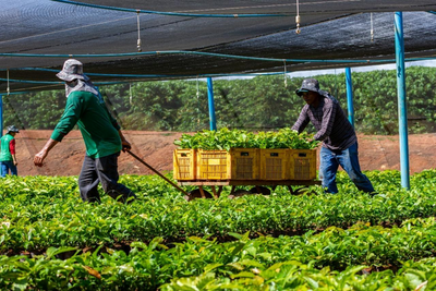 Alan Queiroz destina 50 mil para fortalecer producao rural em Sao Francisco