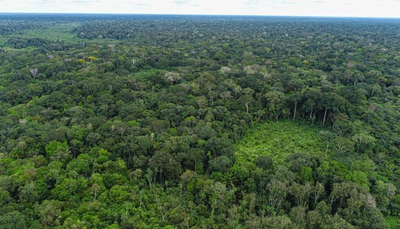 STF autoriza Governo de Rondônia a abrir créditos para proteção ambiental