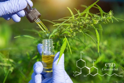 CBD se destaca como alternativa natural com múltiplos benefícios para a saúde