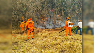 Governo de Rondônia intensifica ações preventivas contra incêndios florestais