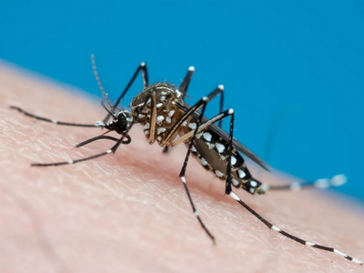 Dengue sorotipo 3 retornou a Ji-Paraná e aumenta risco de surtos em 2025