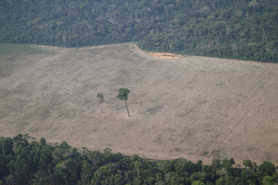 Rondônia reduz desmatamento em 49 por cento entre jan e ago 2026