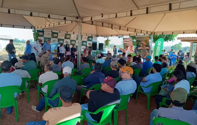 Deputado destaca sucesso do Dia de Campo sobre Banana em Machadinho D Oeste