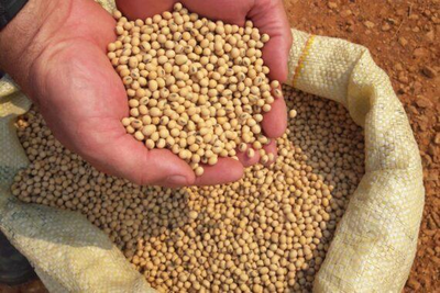 Exportações agrícolas de Rondônia crescem 23% em quatro anos e superam R$ 18 bilhões
