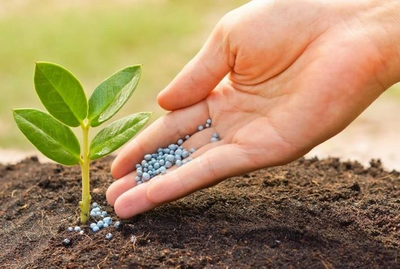 Inaugurada fábrica de fertilizantes em Porto Velho com capacidade de 20 mil toneladas mensais