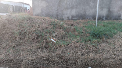 Vereador Gedeão Negreiros solicita roçagem urgente em cruzamento no Bairro Novo Horizonte