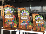 Girassol vence categoria adulta do Arraial Flor do Maracujá