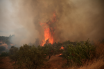 Colisão entre helicópteros durante combate a incêndios na Grécia