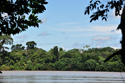 MPF processa usina de Jirau por danos ao Parque Nacional Mapinguari