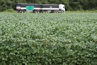 Governo de Rondônia prorroga prazos para plantio de soja na safra 2023/24