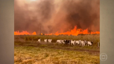 Incêndios em MT TO e RO destroem plantações e afetam produtores