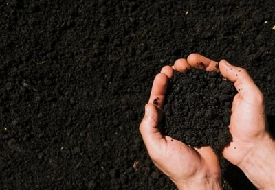 Índice de Poder de Compra de Fertilizantes cai para 0,89 em dezembro de 2023