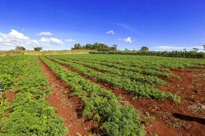 Justiça Federal de Rondônia reconhece fazenda como área pública e determina desocupação