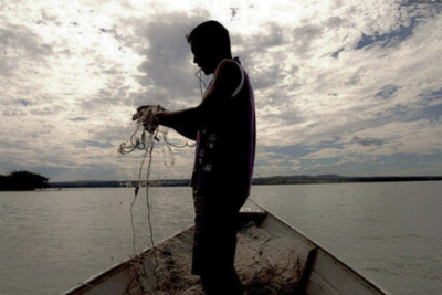 MPA suspende 35750 licenças de pescadores por indícios de fraude