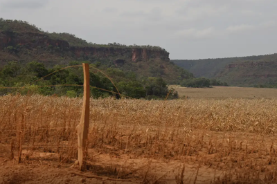 MPF atua para impedir indenizações bilionárias indevidas em Rondônia