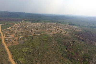 MPF pede anulação de doação da Floresta Nacional Bom Futuro em Rondônia