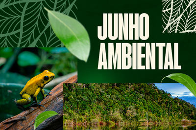 MPF pede suspensão de licenças de garimpo com mercúrio na Amazonia