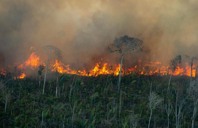 MP de Rondônia acompanha impactos de arquivamento de projeto ambiental de R$ 10 mi