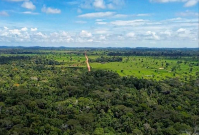MPRO e Sedam firmam TAC para proteger meio ambiente em Rondônia