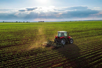 Porto Velho lidera VAB agropecuario em Rondonia segundo IBGE