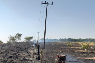 Energisa reforça cuidados para evitar queimadas durante estiagem e preservar energia