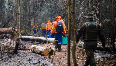 Falta de transparência em dados ambientais compromete combate a crimes na Amazônia