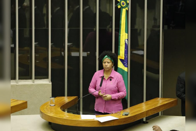 Deputada critica retirada forçada de famílias em Alvorada do Oeste após decisão do STF